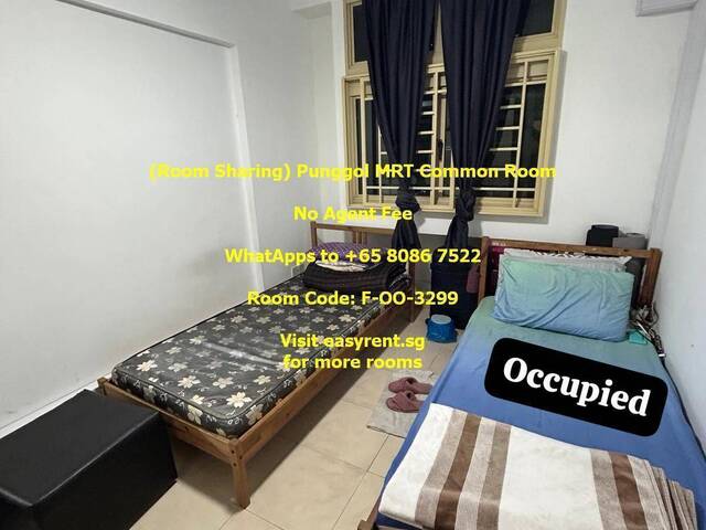 (Room Sharing) Punggol MRT Common Room