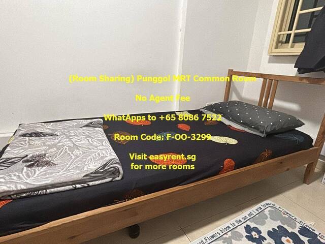 (Room Sharing) Punggol MRT Common Room