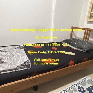 (Room Sharing) Punggol MRT Common Room