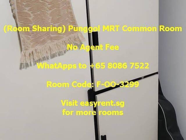 (Room Sharing) Punggol MRT Common Room