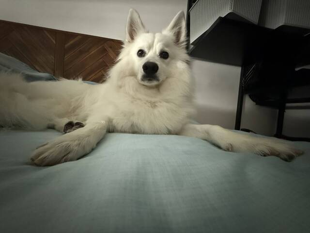 Looking for female tenant suitable for nurse working Sengkang general hospital