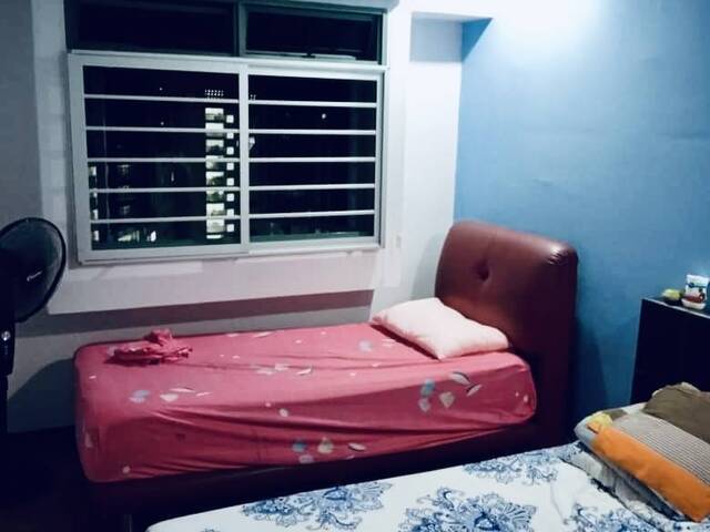 Looking for female tenant