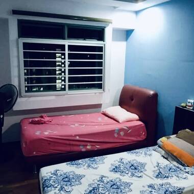 Looking for female tenant