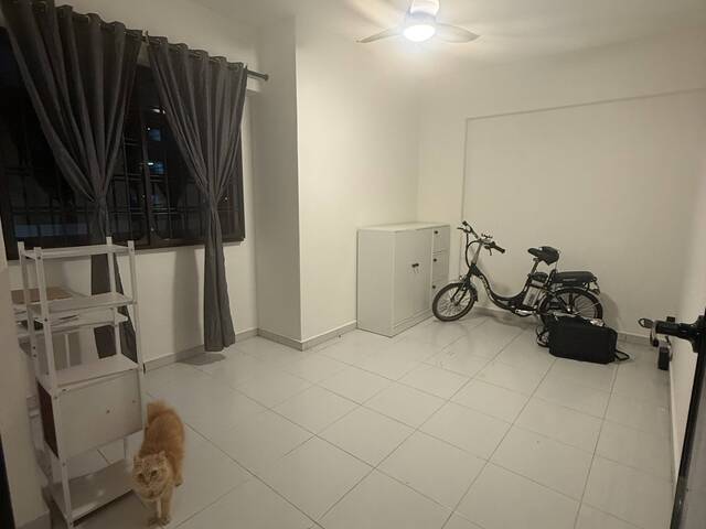 Common Room for Rent @ CCK 296B - Cat-friendly home - 1 cat