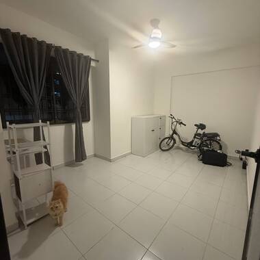 Common Room for Rent @ CCK 296B - Cat-friendly home - 1 cat