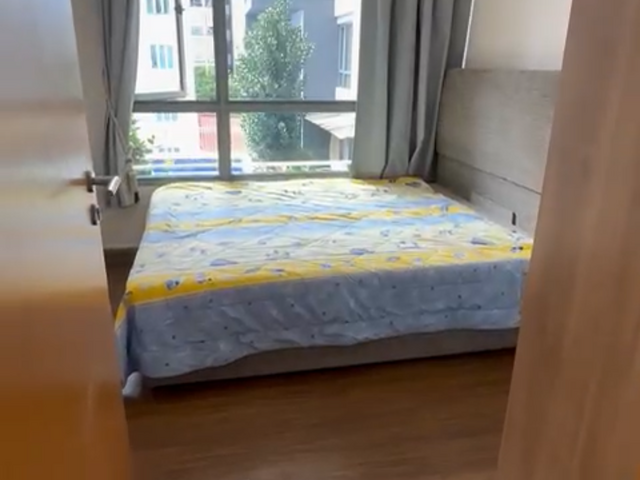 Looking for A Male Co-Tenant