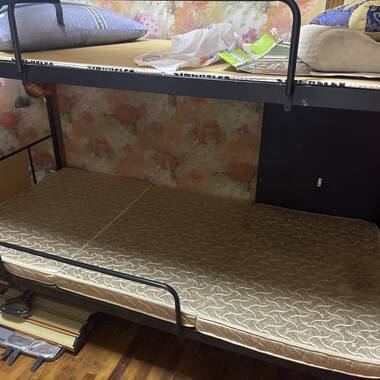 淡滨尼842B 床位出租