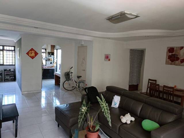 A cosy common room for one working professional