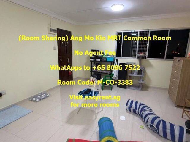 (Room Sharing) Ang Mo Kio MRT Common Room