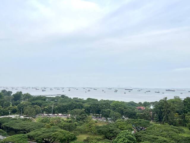 All-female Environment: Spacious Master Room With Sea View Near Siglap MRT, East Coast Park, Parkway