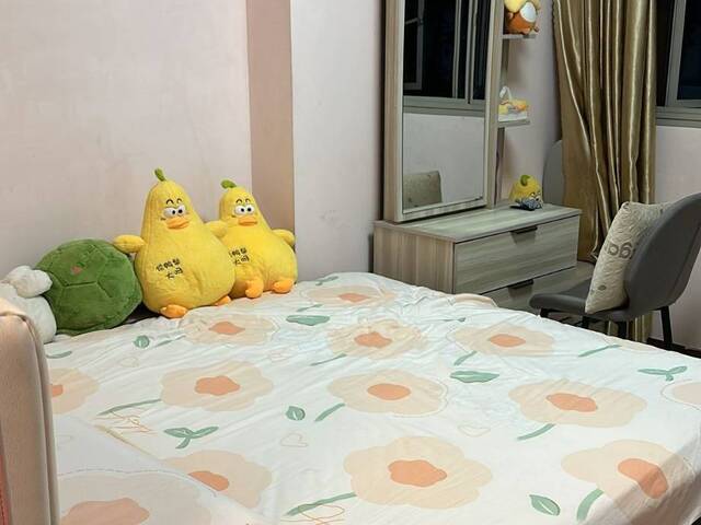 Female Shared Room @ Tampines For Rent ( 2 Pax in the Room )