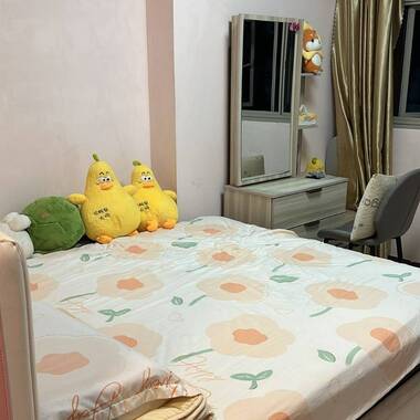 Female Shared Room @ Tampines For Rent ( 2 Pax in the Room )