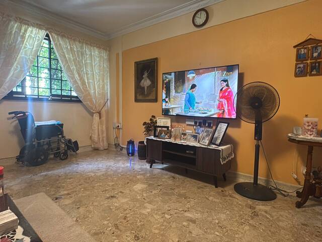 Blk 358 Clementi - 1 lady (WiFi)