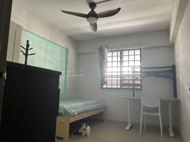 Common room at 374 clementi avenue 4 for rent! Aircon wifi!
