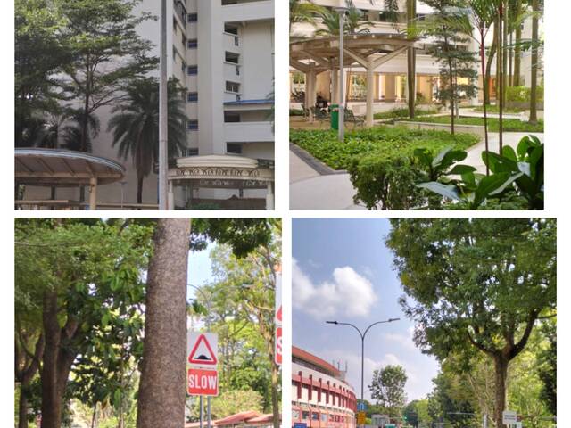 Single Common Room @ Holland Village