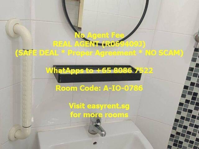 Chinese Garden MRT Master Room