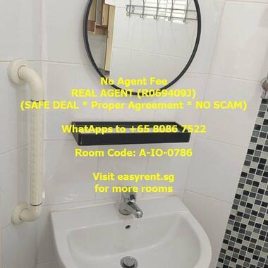 Chinese Garden MRT Master Room