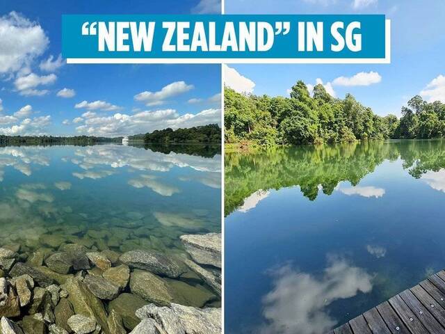 A place you could called Home and you can rest and do well in Singapore