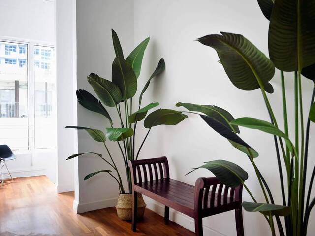 Portsdown Studio | Ensuite + Bathtub | Near Farrer MRT (Jalan Besar)