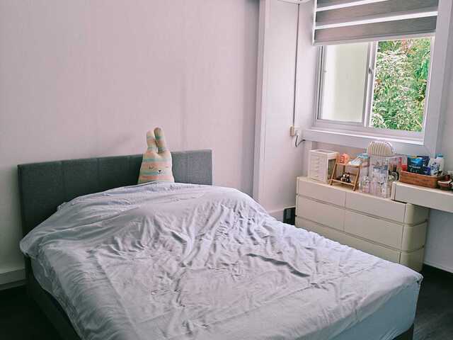 Clean, Quiet and Cozy Common Room for Rent