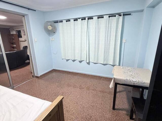 NO OWNER STAY - co share with Indian Professional Bachelor