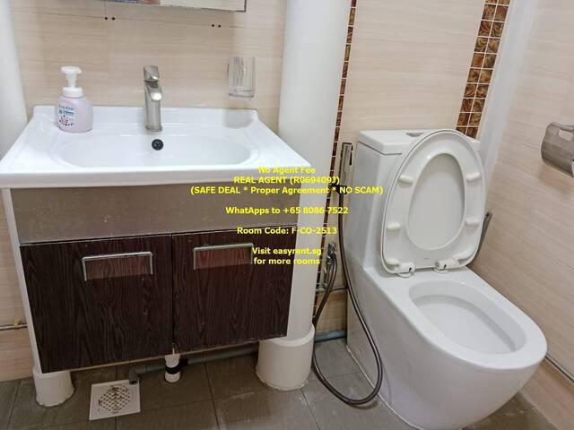 Lakeside MRT Master Room