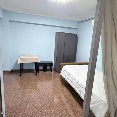 NO OWNER STAY - co share with INDIAN Professional Bachelor - ANY GENDER