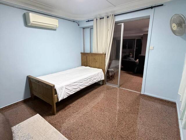 NO OWNER STAY - co share with Indian Professional Bachelor