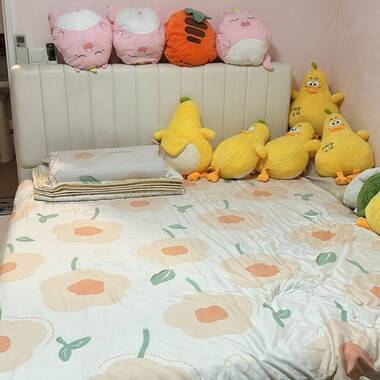 Female Shared Room @ Tampines For Rent ( 2 Pax in the Room )