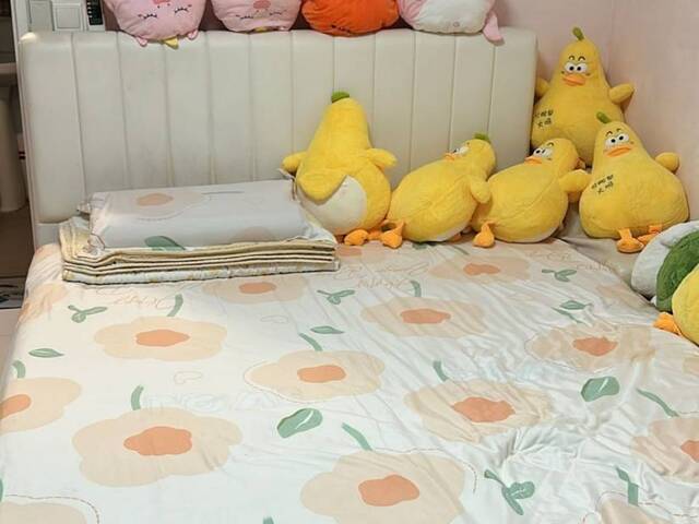 Female Shared Room @ Tampines For Rent ( 2 Pax in the Room )