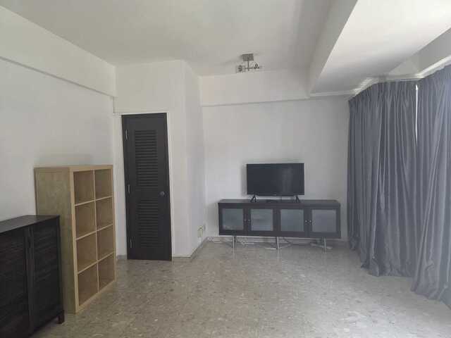 Bright Room for Rent - Orchard MRT...