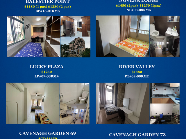 Room for rent / Orchard / 1 pax stay / Available Immediate