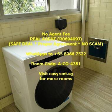 Marymount MRT Master Room