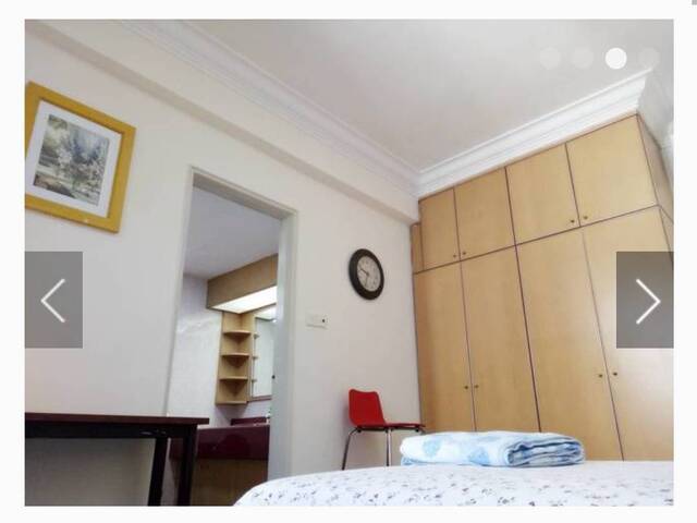 NUS condo master room/Pasir Panjang MRT