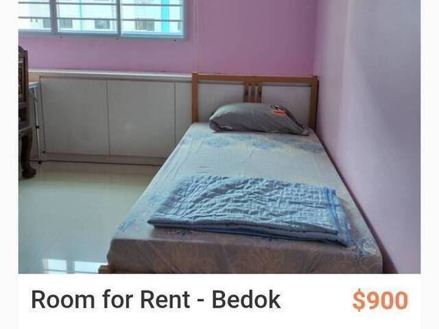 Big Spacious room