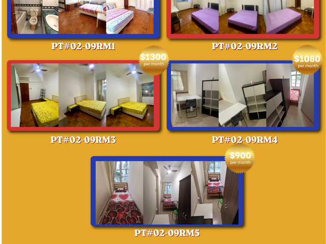 Room for rent / Orchard, Stevens / Common room / 1pax stay / Available immediate