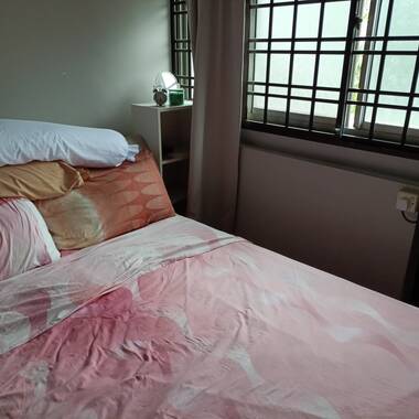 Central Tiong Bahru Road/ Redhill MRT , Master Room for Rent , Available 20 July 2026