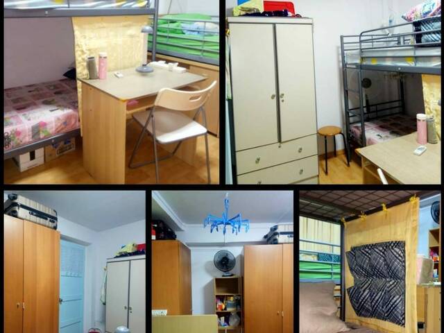●LADY BEDSPACES●@🟢🟡BUONA VISTA MRT(near A*STAR, NUS, SIM, NUH, SP, ESSEC, MDIS, BIOPOLIS@1North