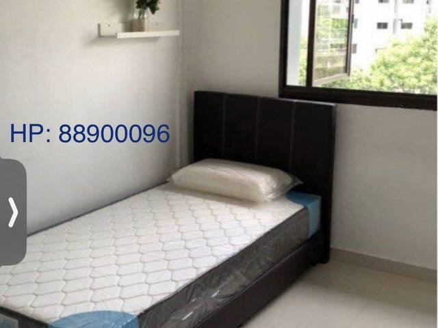 Single Room For Rent - SENGKANG / Indian Owner /PROFESSIONALS / STUDENTS