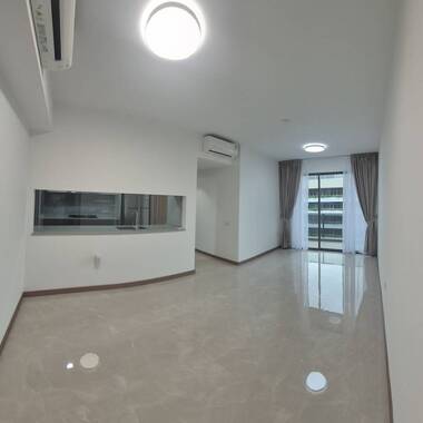 New Condo - The Botany at Dairy Farm