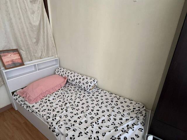 Cosy and Big Room for Students/Interns (Single or sharing)