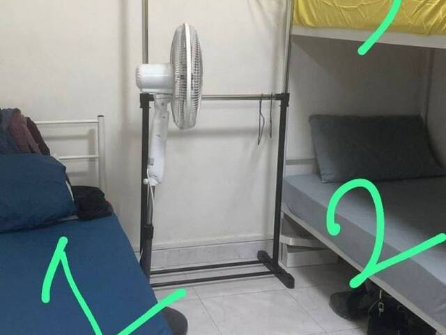 Beauty World Plaza, Room for rent. $600, No Agent Fee.