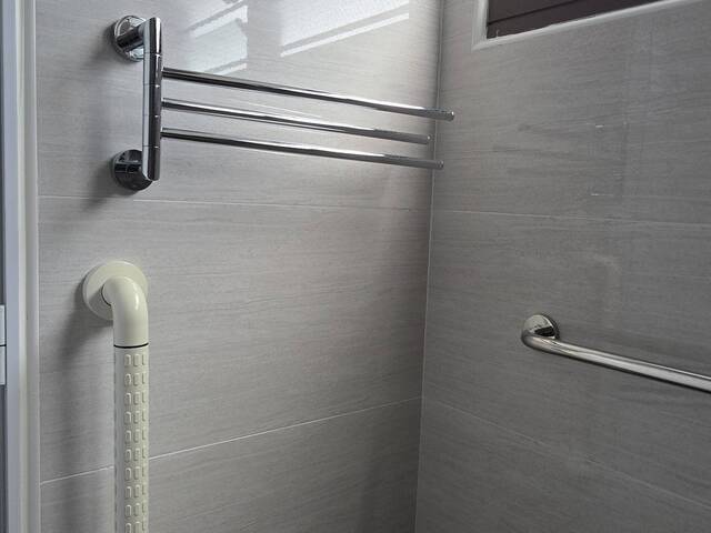 Fully Furnished Bishan Master Bedroom , Malaysian Lady only