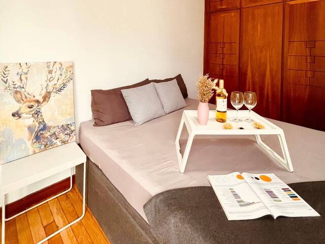 For Immediate Rent: Master Room With Private Bathroom @Dover Parkview Condo (Buona Vista/Dover MRT)
