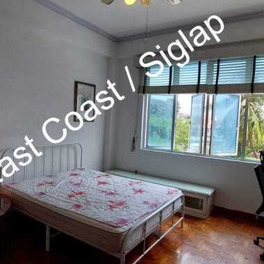 LARGE FURNISHED 175 SQ FT ROOM (BIGGER THAN MANY MASTER ROOMS) @SIGLAP NEAR AMENITIES