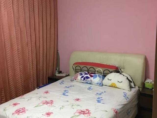 Studio for rent at Woodlands