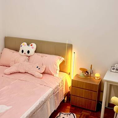 3 mins walk to Tiong Bahru MRT, near CBD ,Condo Common Room for Rent