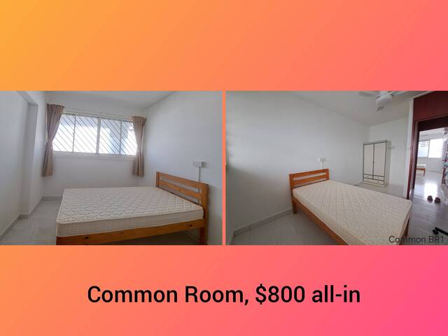 Bukit Panjang Common Room Rental | Clean & Cozy 环境干净安静 (Female Environment)