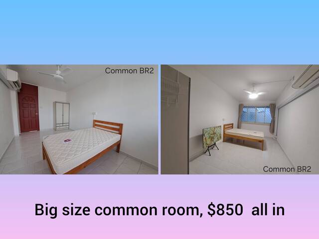 Bukit Panjang Common Room Rental | Clean & Cozy 环境干净安静 (Female Environment)