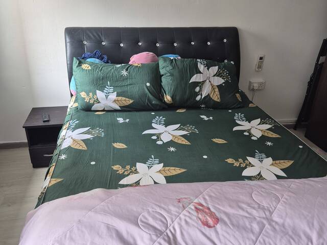 Fully furnished common bedroom
